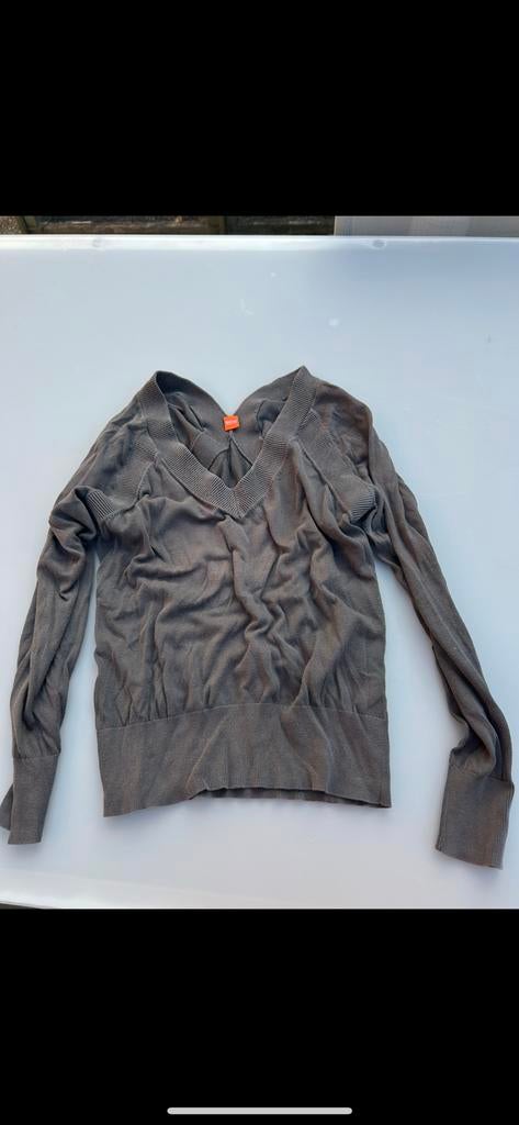 Truitje maat m hugo boss, Kleding | Dames, Ophalen of Verzenden, Zo goed als nieuw, Maat 38/40 (M), Grijs