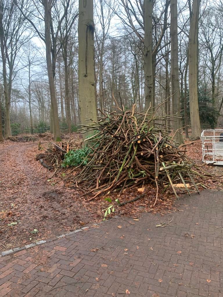 Rodo Brandhout - Ideaal voor Pizza Oven/Fornuis, Tuin en Terras, Haardhout, Minder dan 3 m³, Ophalen, Overige houtsoorten, Blokken