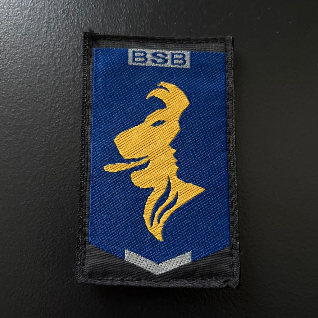 RUILEN - BSB mouwembleem - Patch, Verzenden, Marechaussee, Nederland, Embleem of Badge