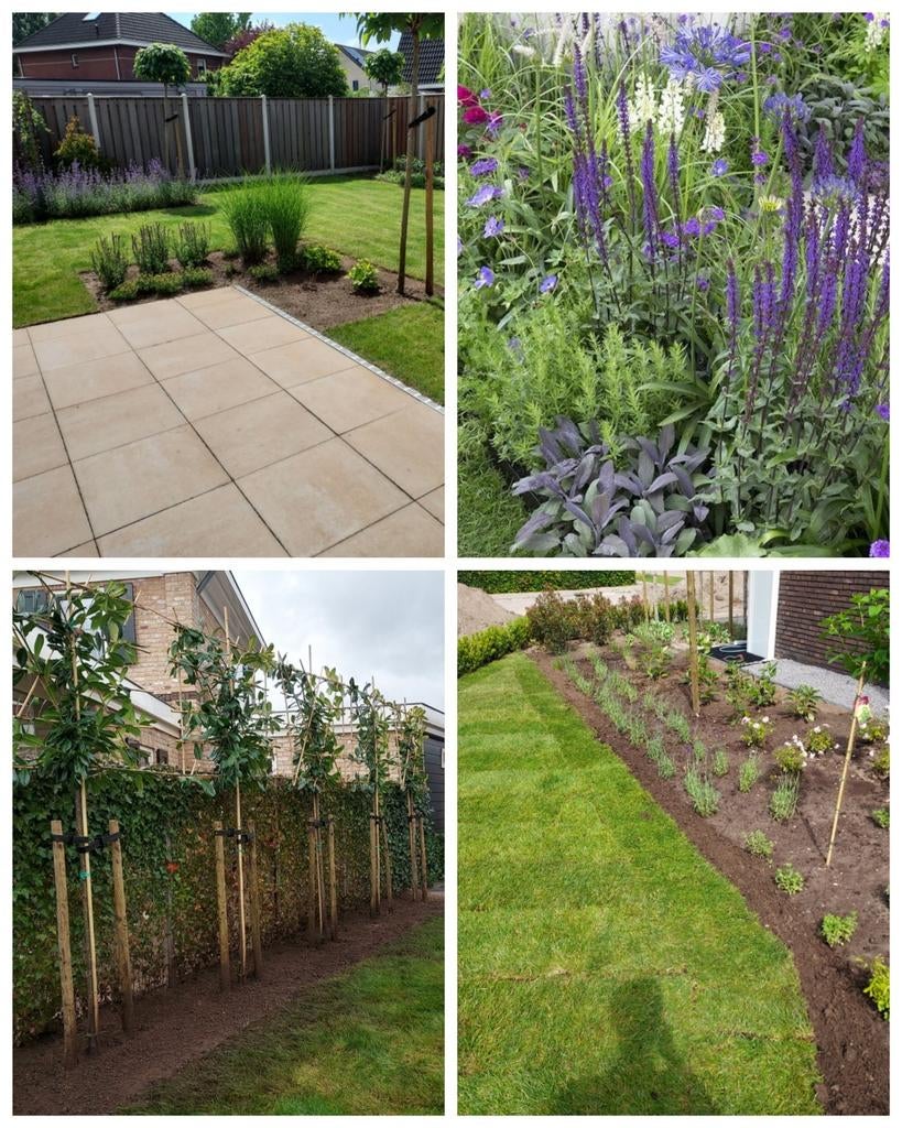 beplanting, beplantingsplan, tuinontwerp, Tuin en Terras, Ophalen, Overige soorten, Volle zon