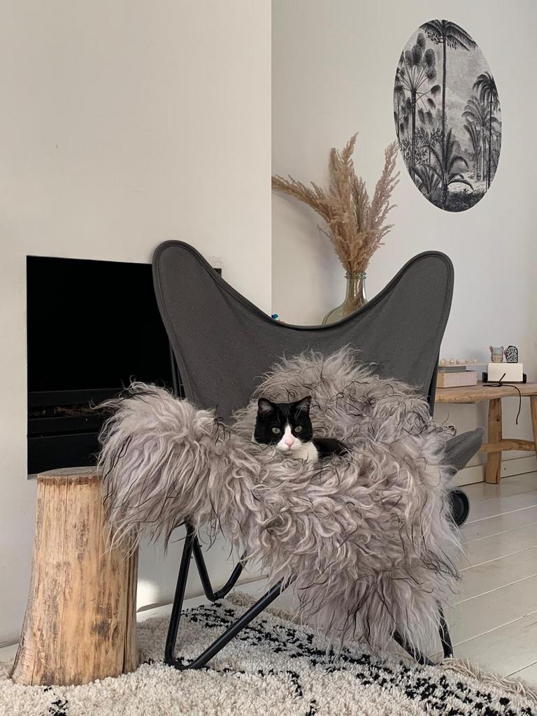 Stijlvolle vlinderstoel, Gebruikt, Ophalen of Verzenden, Metaal, Eén