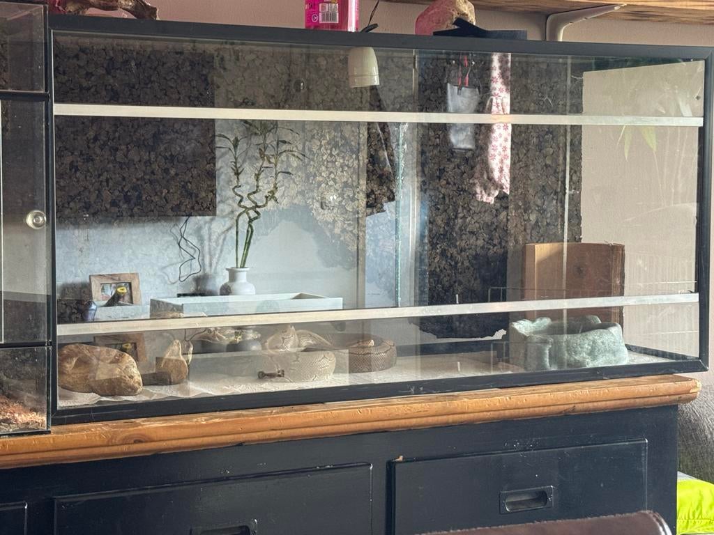 Terrarium, Ophalen, Zo goed als nieuw, Terrarium of Paludarium