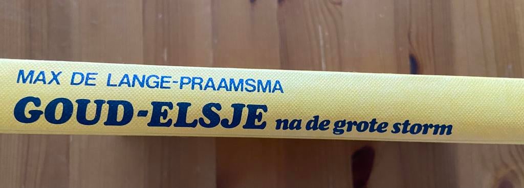 GoudElsje na de grote storm. Max de Lange Praamsma, Boeken, Ophalen of Verzenden, Zo goed als nieuw