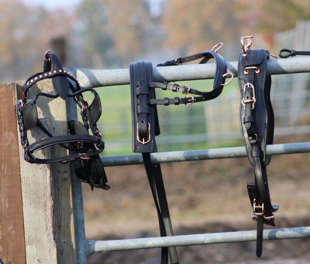 Te koop zwart met rose gold mini shetlander mentuig, ., Ophalen of Verzenden, ., .