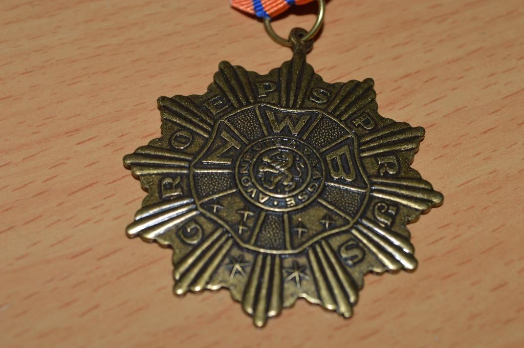 vintage groepsprijs / medaille avondvierdaagse, Ophalen of Verzenden, Overige materialen, Nederland