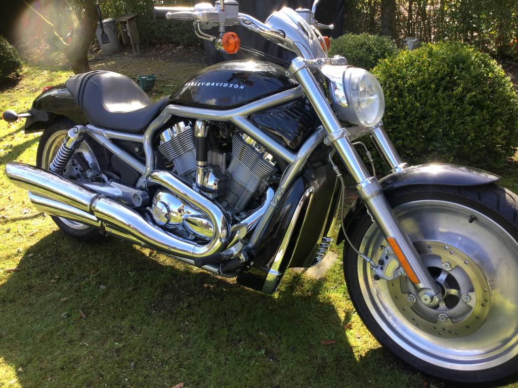 Harley davidson VROD 1200, pas 11000 km