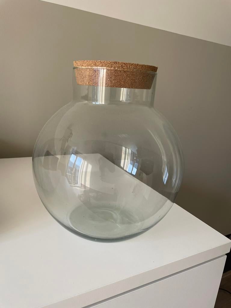 Plantenterrarium, Ophalen, Zo goed als nieuw