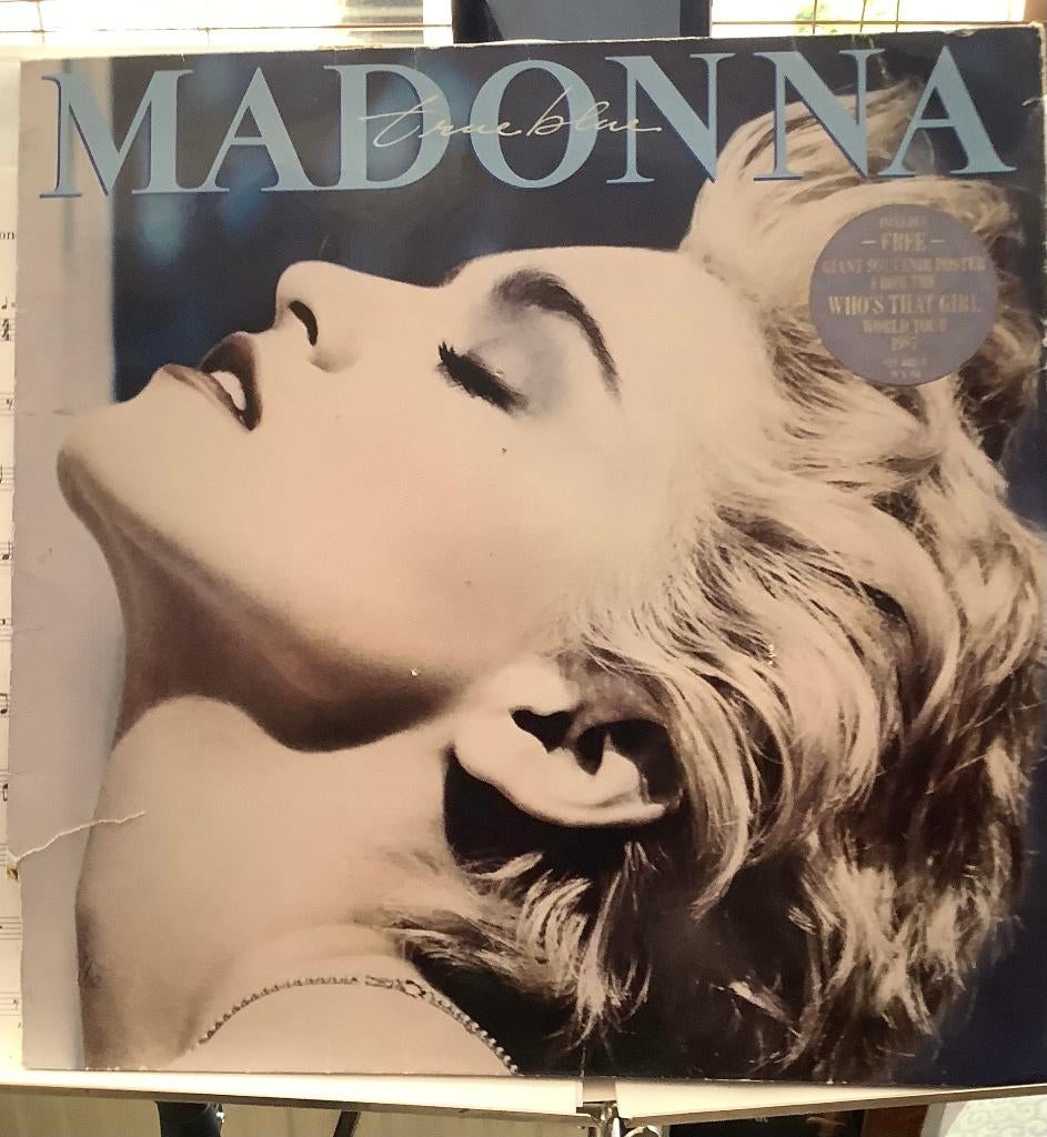 Lp Madonna, Ophalen of Verzenden, Gebruikt, 12 inch