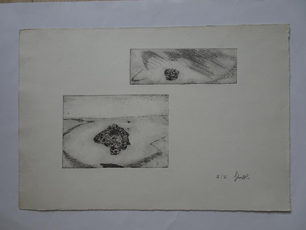 Ets strandsculpturen Eleonora Stol La Roja 1975, Antiek en Kunst, Verzenden