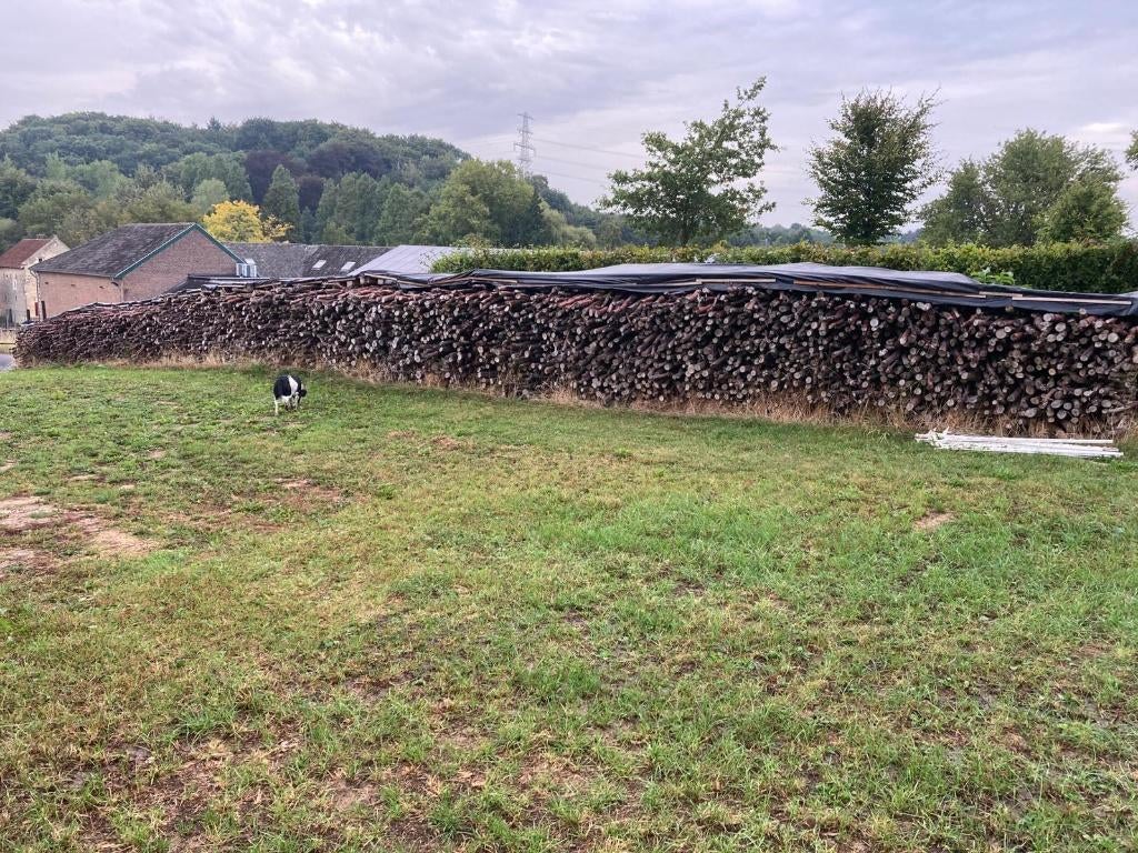 appel haardhout te koop, 6 m³ of meer, Ophalen, Overige houtsoorten, Stammen