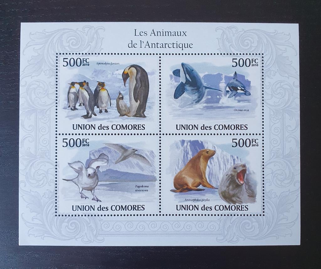 Comoren 2009 Pinguin Orka Vogel Michel 2712-2715 postfris, Verzenden, Postfris, Dier of Natuur
