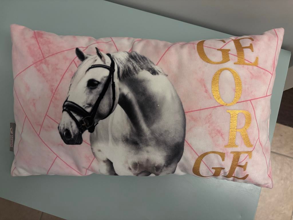 Kussen PaardenpraatTV George, Huis en Inrichting, Woonaccessoires | Kussens, Ophalen of Verzenden, Zo goed als nieuw, Roze, Rechthoekig