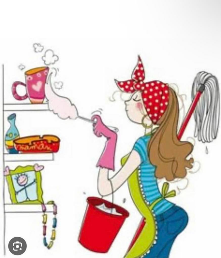 Schoonmaakwerk gezocht!, Vacatures, Vacatures | Schoonmaak en Facilitaire diensten