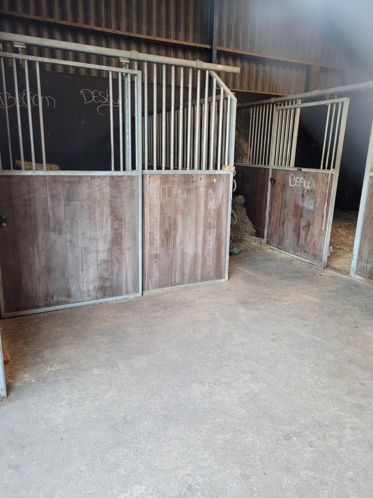 Stalling/weide shetlander kleine pony, Dieren en Toebehoren, Stalling en Weidegang, Stalling