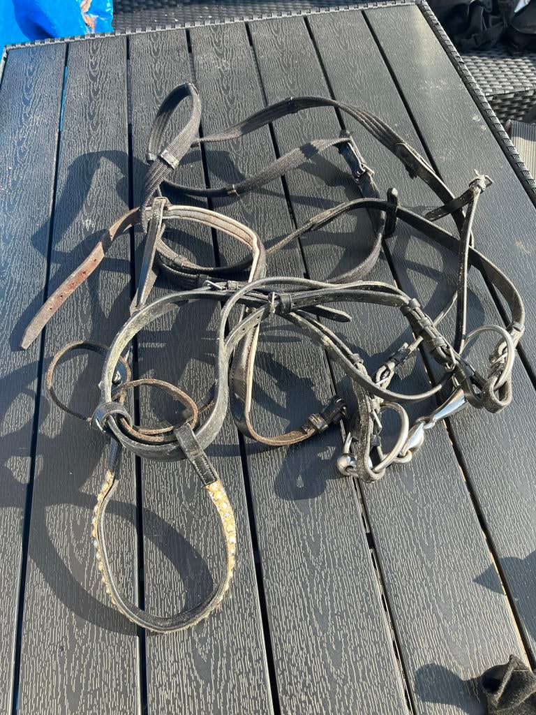 Hoofdstel met bit 13,5, Ophalen, Gebruikt, Recreatie