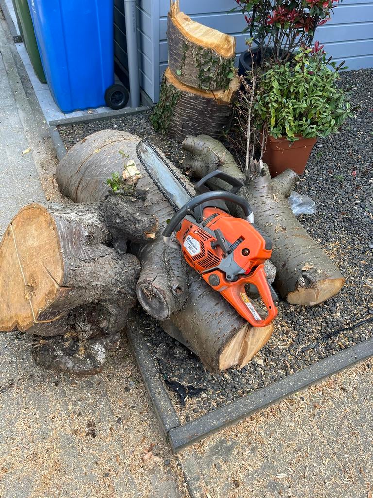 Brandhout: prunus kers gratis, Tuin en Terras, Haardhout, Minder dan 3 m³, Ophalen, Overige houtsoorten, Blokken