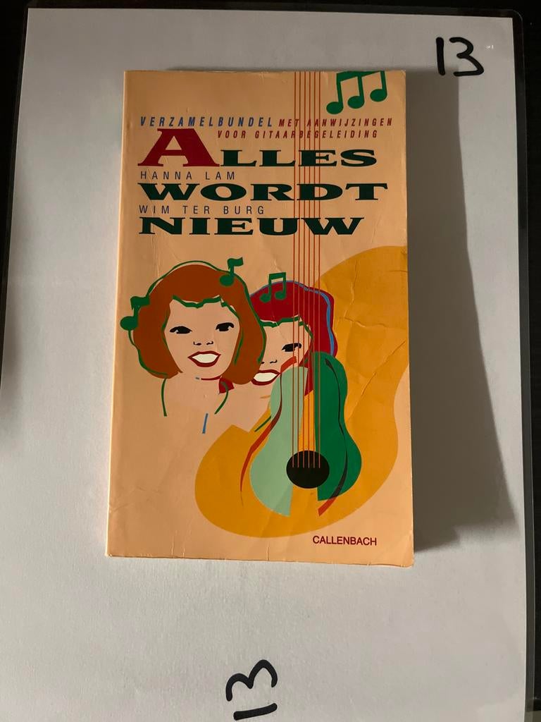 Alles Wordt Nieuw - Gitaarbegeleiding Hanna Lam, Boeken, Ophalen of Verzenden, Zo goed als nieuw, Instrument