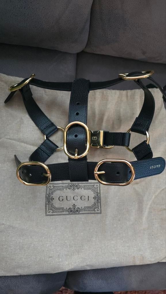 Gucci hondentuig/harnas Maat M, Ophalen of Verzenden, Nieuw