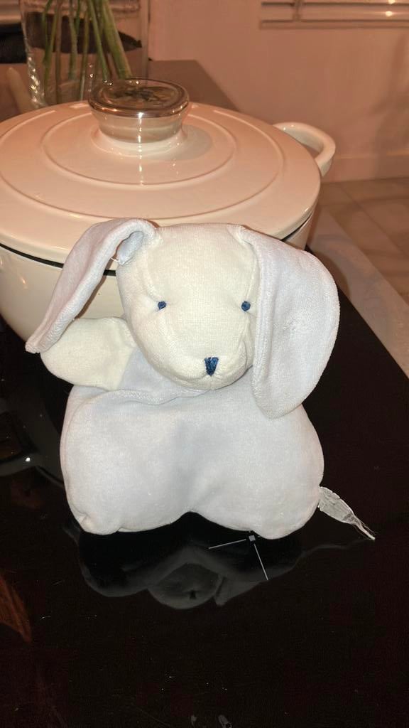 Zilveren kruis achmea konijn, Ophalen of Verzenden, Gebruikt, Konijn