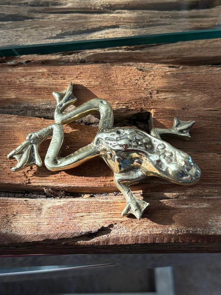 Vintage messing kikker, Antiek en Kunst, Ophalen of Verzenden