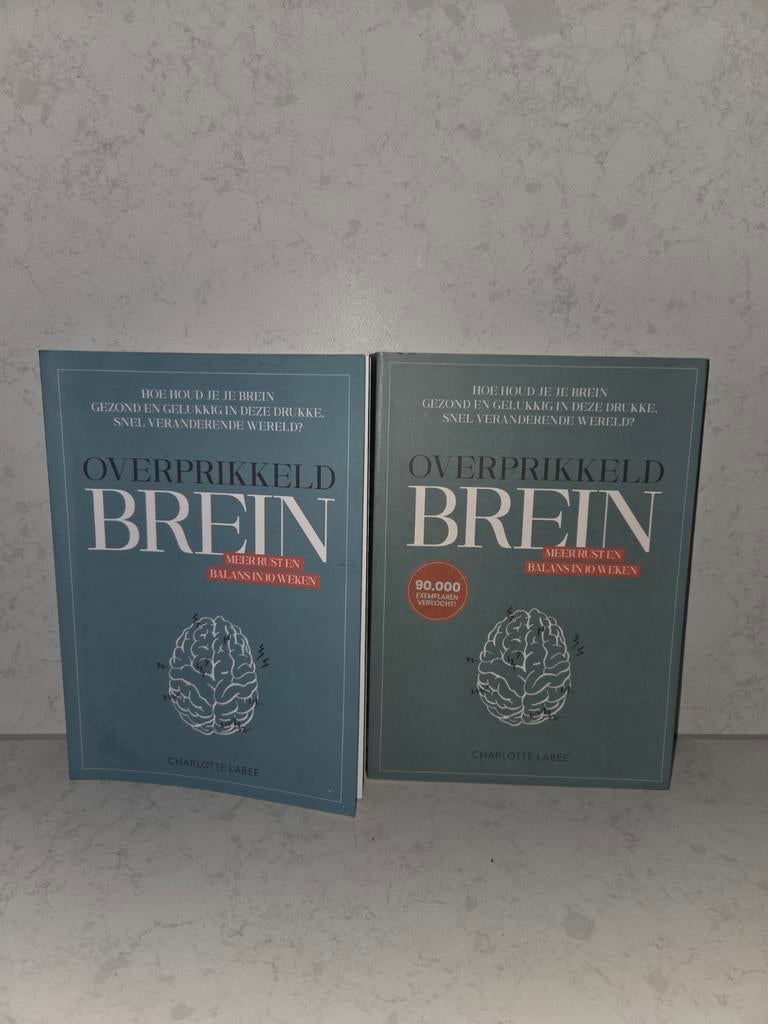 Charlotte Labee - Overprikkeld brein, Ophalen of Verzenden, Zo goed als nieuw, Overige onderwerpen