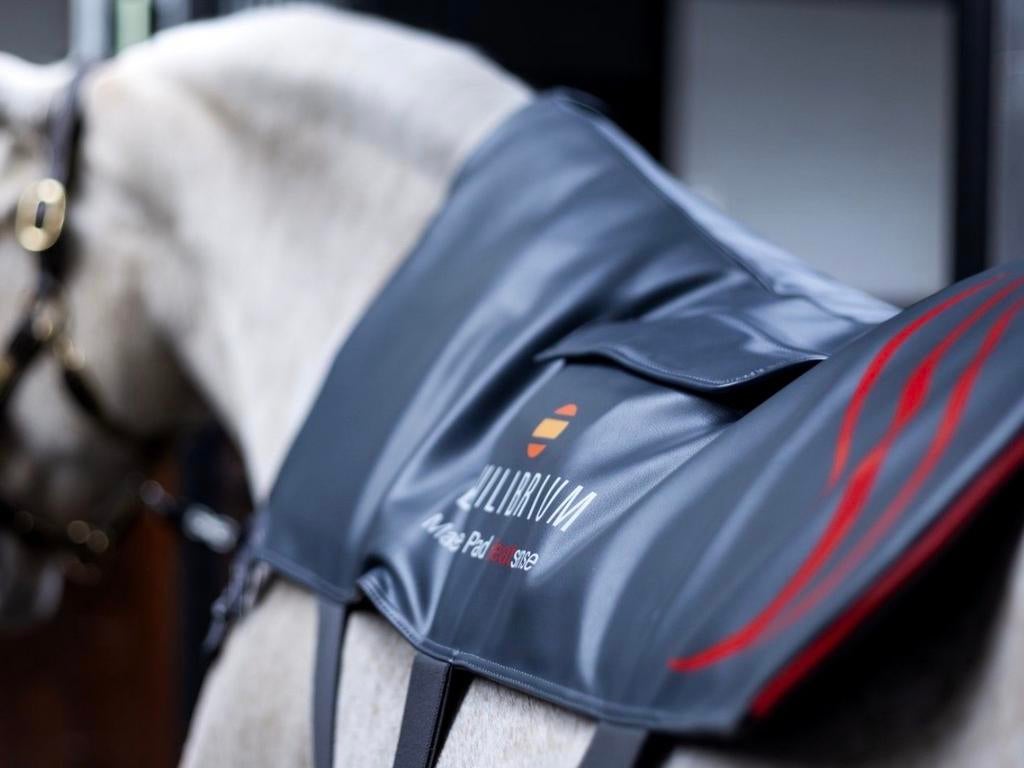 Massage pad voor paard  te huur, Ophalen, Nieuw