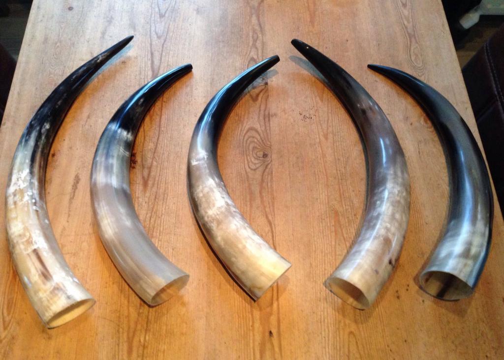 Grote partij hoorns en konijnenvachten te koop, Ophalen of Verzenden, Nieuw