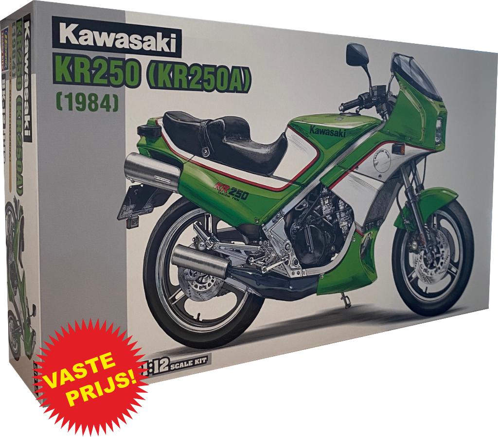 Kawasaki KR250 (1984) (Hasegawa 21512) 1/12, Overige merken, Nieuw, Ophalen of Verzenden, Groter dan 1:32
