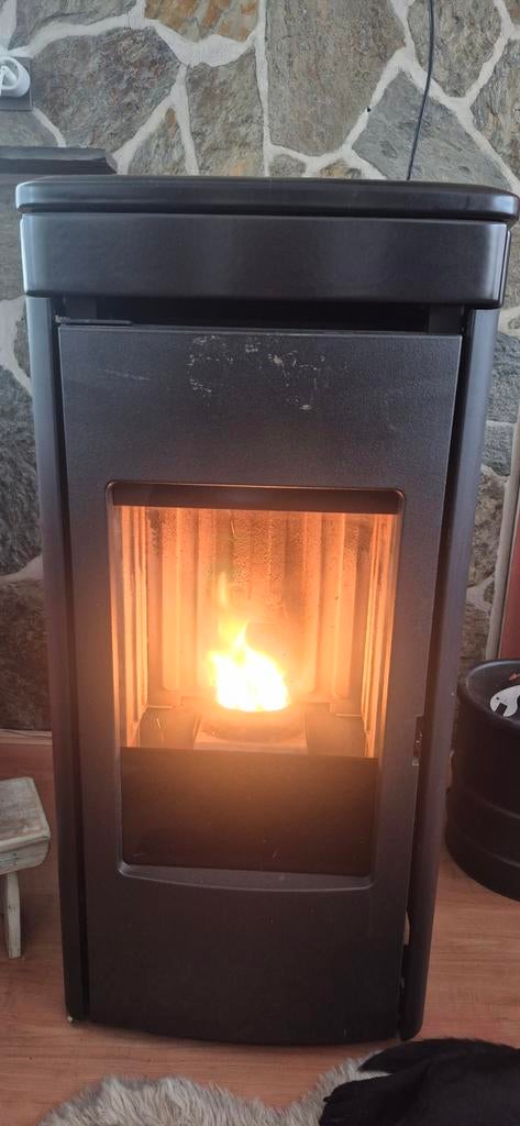Edilkamin Yana 6,9 KW Pelletkachel + Asstofzuiger, Huis en Inrichting, Kachels, Ophalen, Gebruikt, Pelletkachel, Vrijstaand