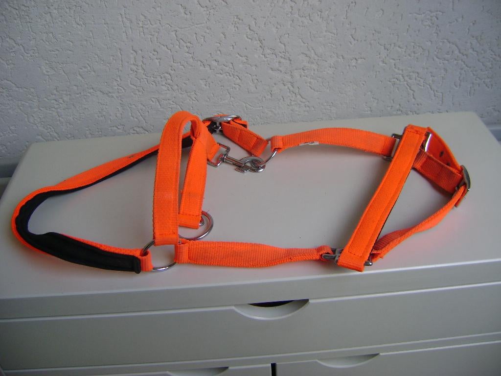 fluor roze pony teugels verstelbaar, Ophalen of Verzenden, Zo goed als nieuw, Recreatie