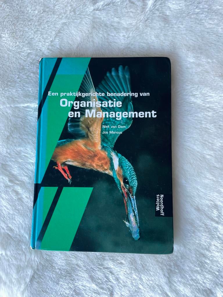 Studieboek Organisatie en Management, Ophalen of Verzenden, Gamma, Gelezen, HBO