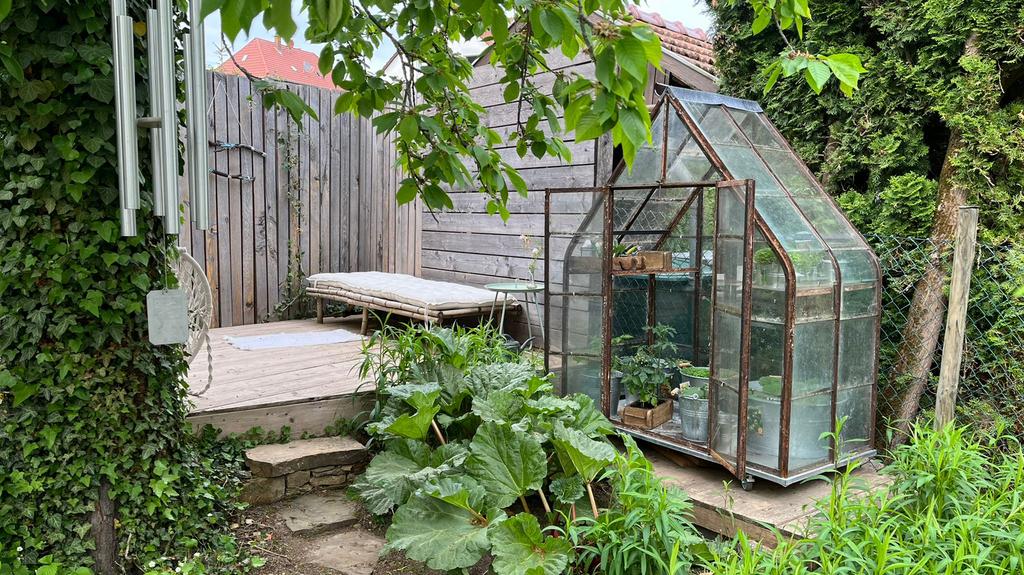 Greenhouse Kas 140 x 75 x 175 cm glaskas de enige echte!, Tuin en Terras, Kassen, Staal, Gebruikt, Kweekkas, Ophalen of Verzenden
