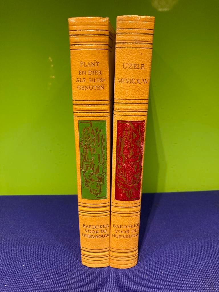 Baedeker Huisvrouw set - Retro Huishoud Encyclopedie, Ophalen of Verzenden, Zo goed als nieuw, Overige onderwerpen