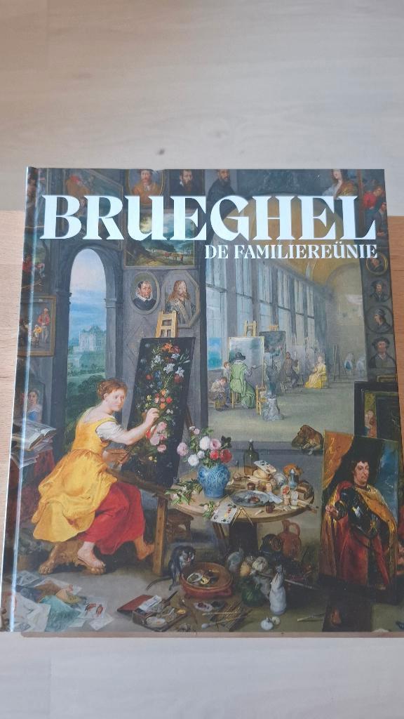 Breughel De Familiereünie, Ophalen of Verzenden, Zo goed als nieuw, Meerdere auteurs, Schilder- en Tekenkunst