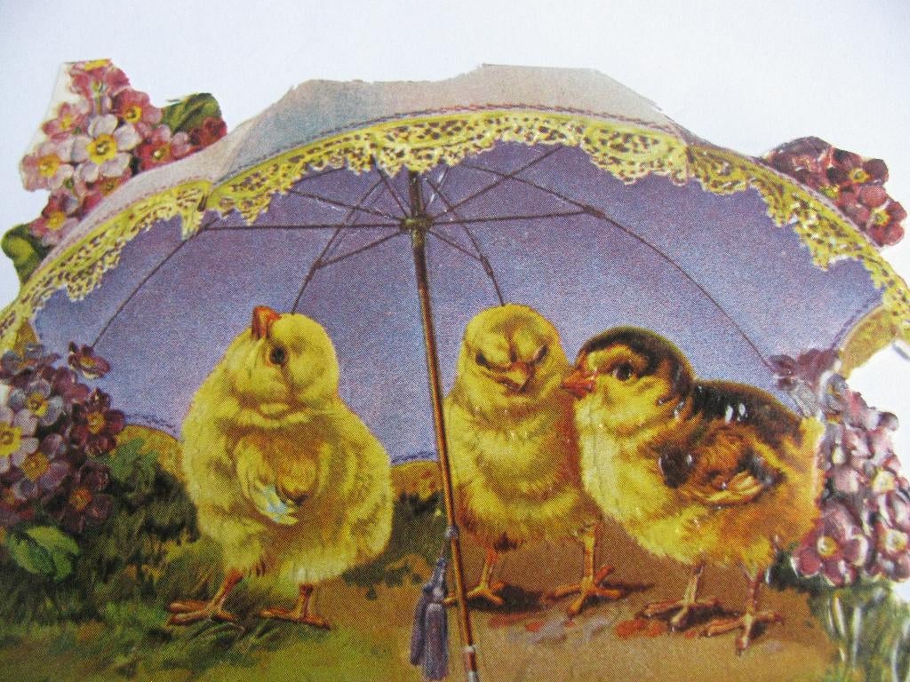 Groot Poesieplaatjes - Kuikens onder Paraso; - 10.5 x 8 cm, Verzenden