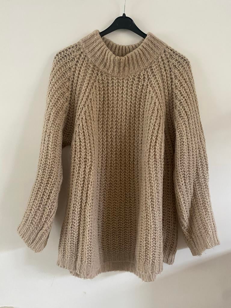 Aaiko trui maat M, Maat 38/40 (M), Aaiko, Beige, Ophalen of Verzenden