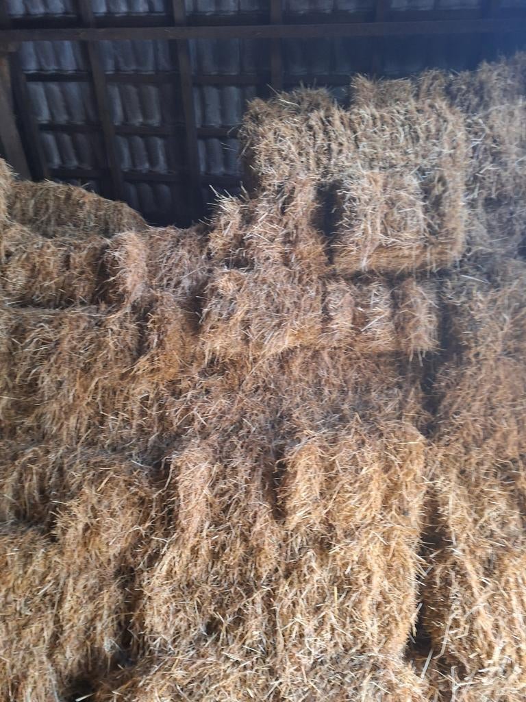 Hooi te koop, Ophalen of Verzenden, Vee