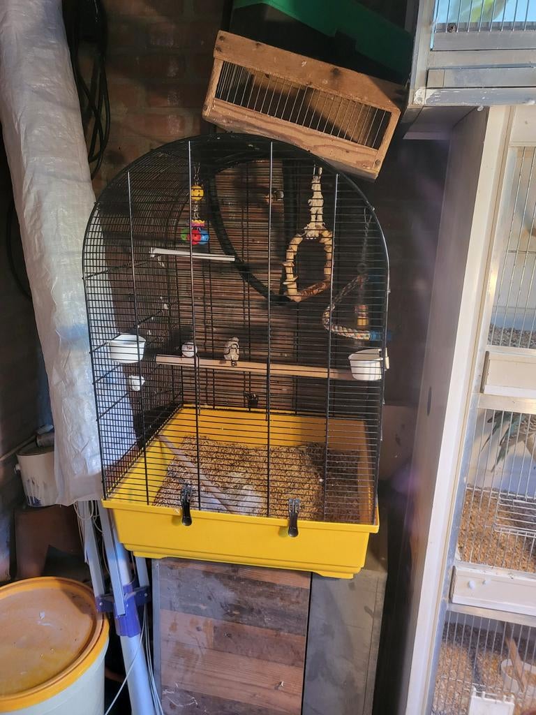 Grote vogelkooi, Dieren en Toebehoren, Ophalen, Metaal, Vogelkooi