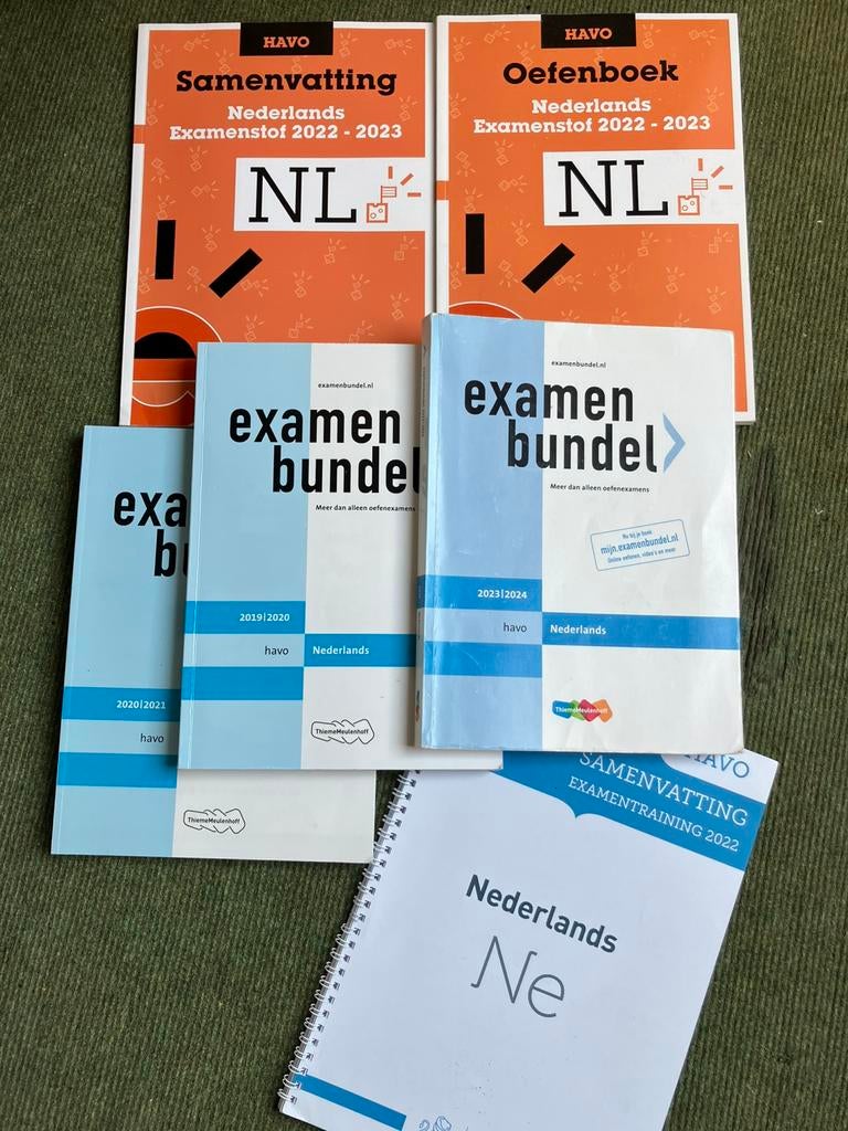 Havo Nederlands, Boeken, Schoolboeken, Ophalen of Verzenden, Gelezen, HAVO, Nederlands