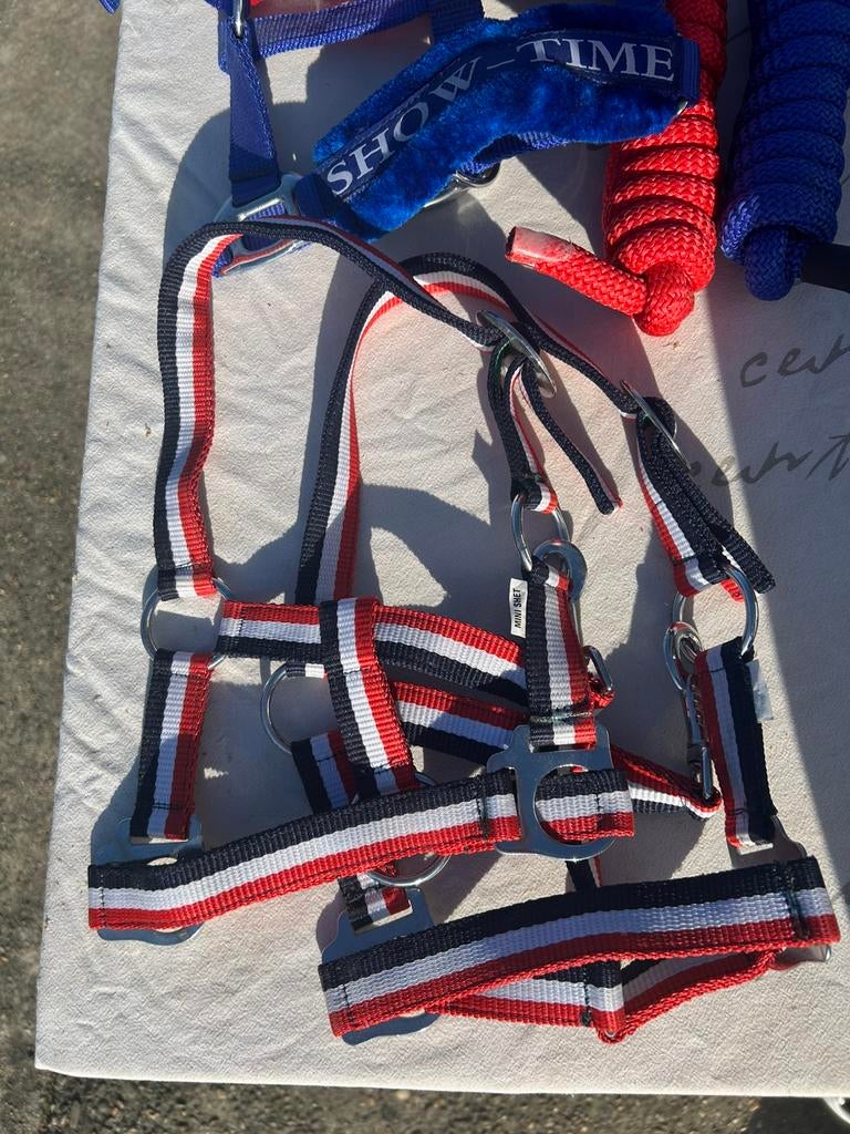 Halsters nieuwe, Ophalen of Verzenden, Nieuw, Overige soorten