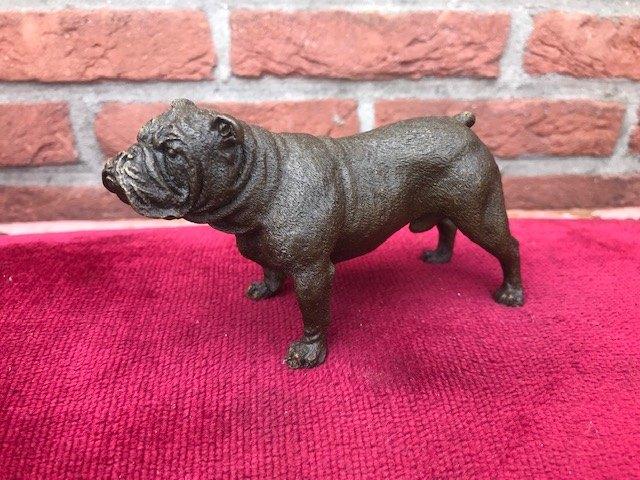 bronzen beeldje van een Engelse bulldog, Antiek en Kunst, Antiek | Koper en Brons, Ophalen of Verzenden, Brons