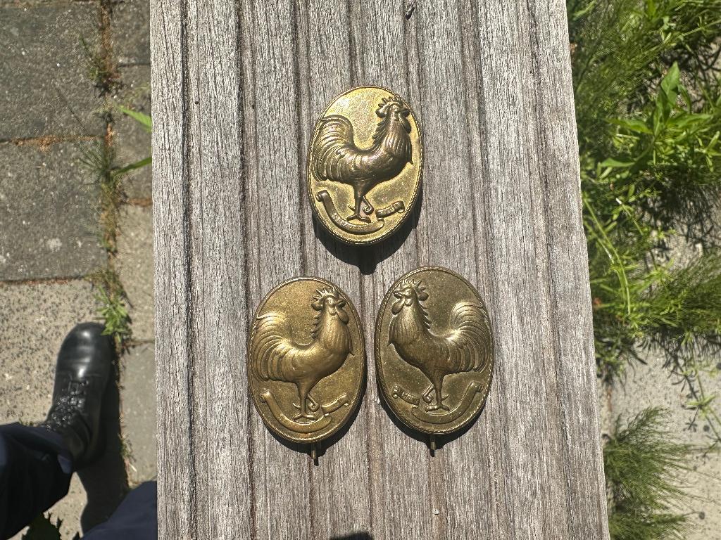 3x schouder embleem Bewakingskorps, Verzamelen, Militaria | Tweede Wereldoorlog, Landmacht, Embleem of Badge, Nederland, Ophalen