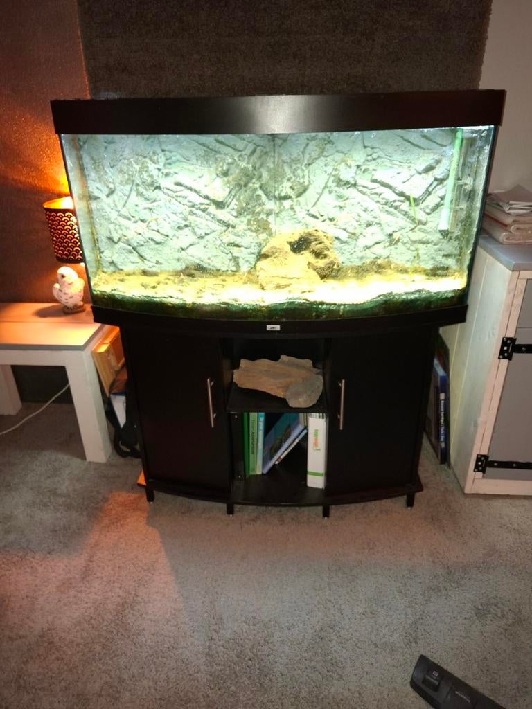 Juwel vision 260, Dieren en Toebehoren, Vissen | Aquaria en Toebehoren, Ophalen, Gebruikt