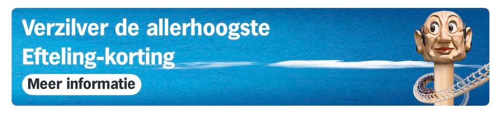 Efteling Korting vouchers AH spaarkaarten, Eén persoon, Kortingsbon, Pretpark