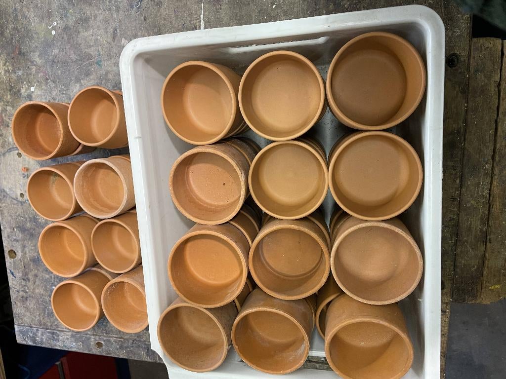 Voerbakjes piksteenpotjes, Meerdere dieren, Postduif