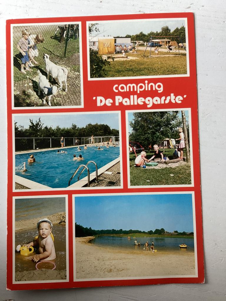 Ansichtkaart Camping De Pallegarste Mariënberg, Verzenden, 1980 tot heden, Gelopen, Overijssel