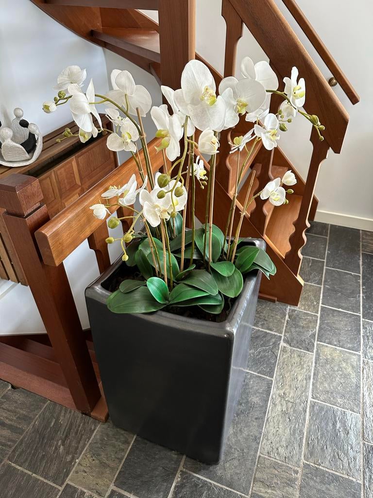 Kunst orchidee in zwarte pot, Ophalen, Binnen, Gebruikt, Kunstplant