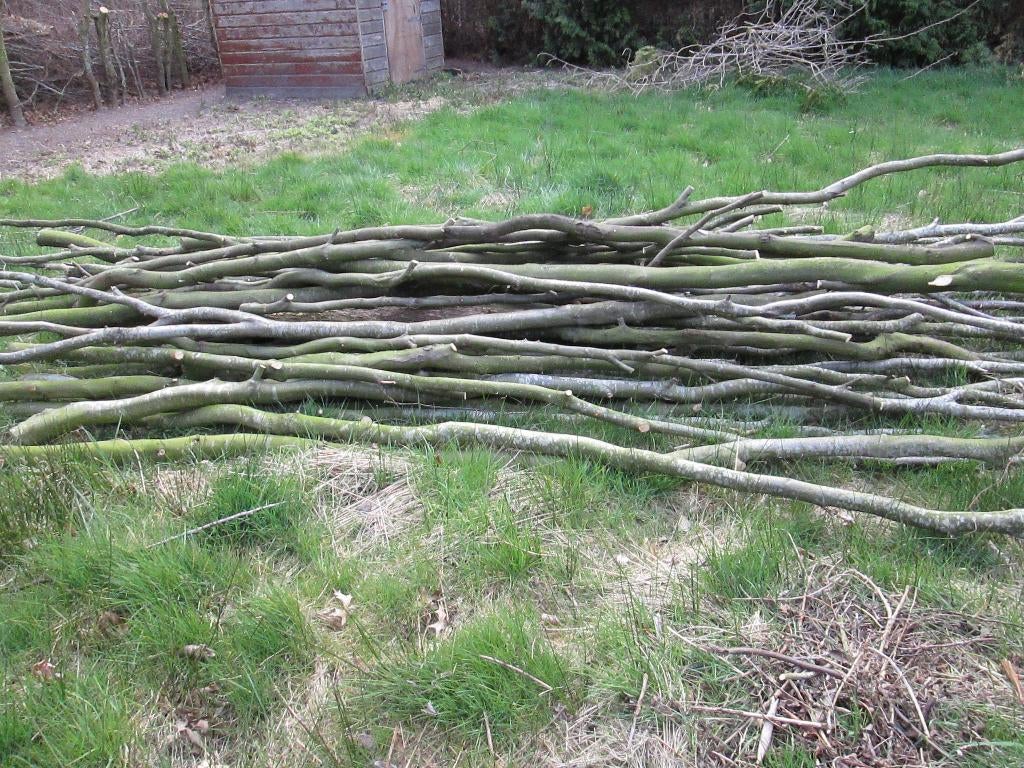 partij beuken hout vers gezaagd  35euro, Minder dan 3 m³, Ophalen, Beukenhout, Stammen