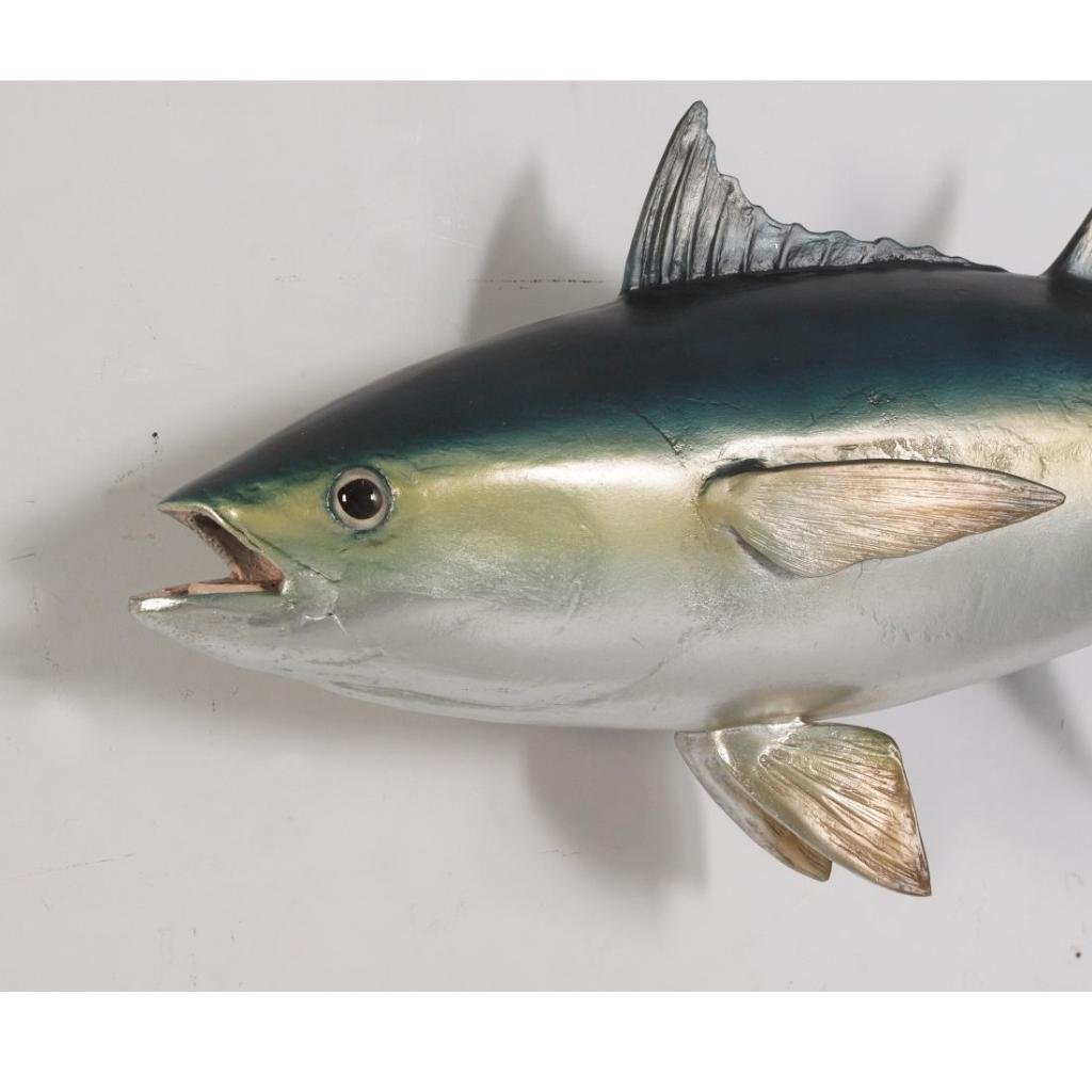 Blue Fin Tuna – Tonijn decoratie Lengte 114 cm, Ophalen, Nieuw, Overige typen