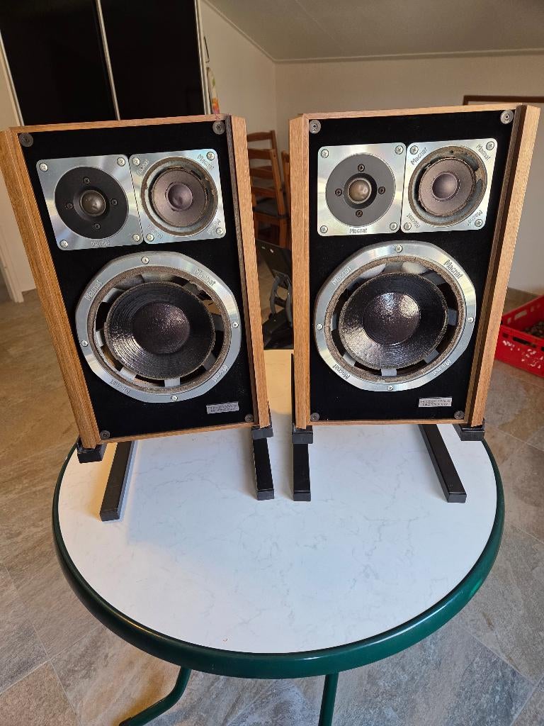 Magnat MIG-Ribbon 5, Audio, Tv en Foto, Luidsprekers, Ophalen, Gebruikt, Magnat, 120 watt of meer